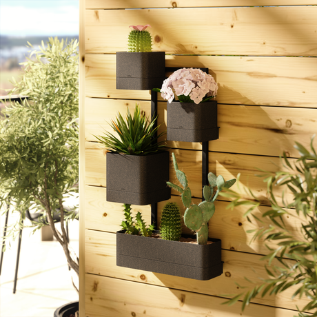 Wall Planters | color: Black | Hover