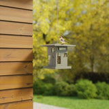 Bird Feeder | color: Gray | https://vimeo.com/646479461