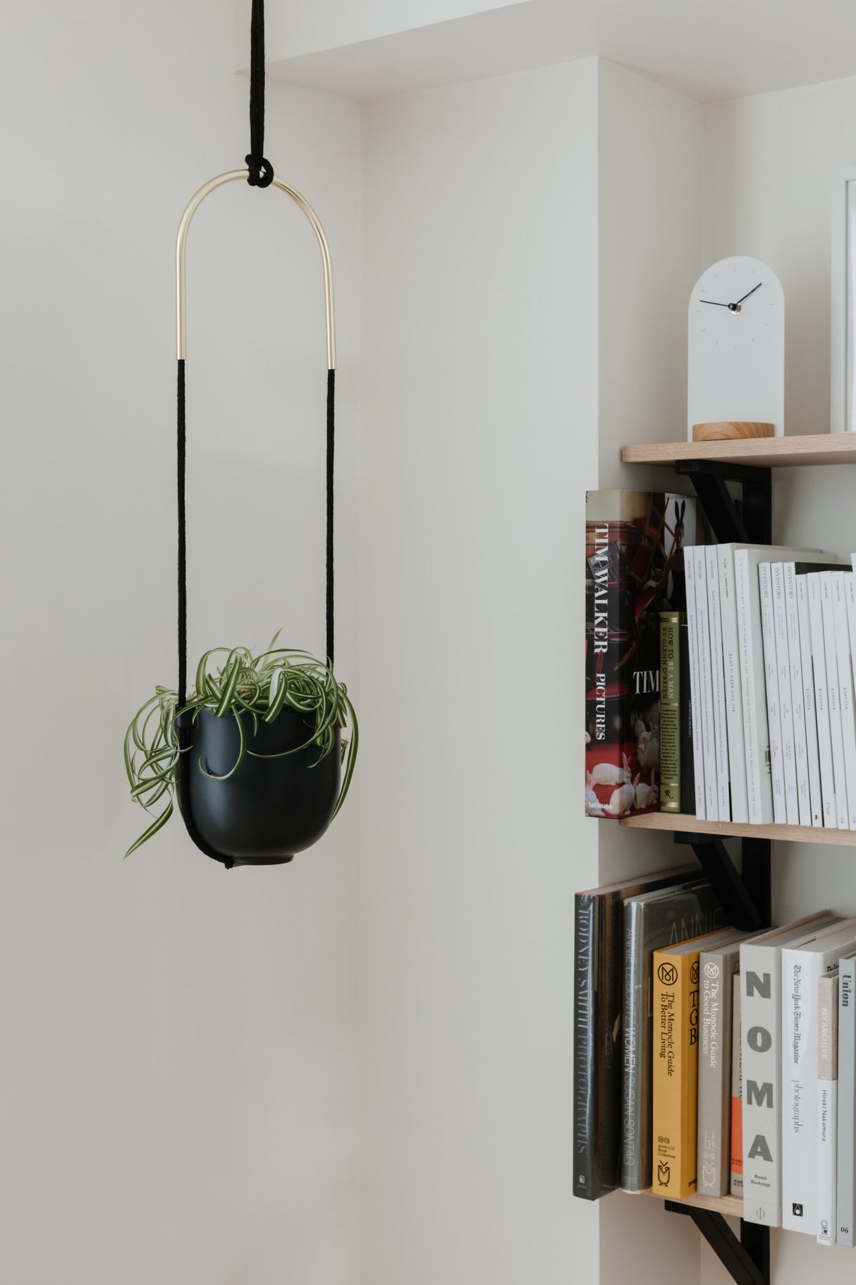 Hanging Planters | color: Black | https://player.vimeo.com/video/255427599