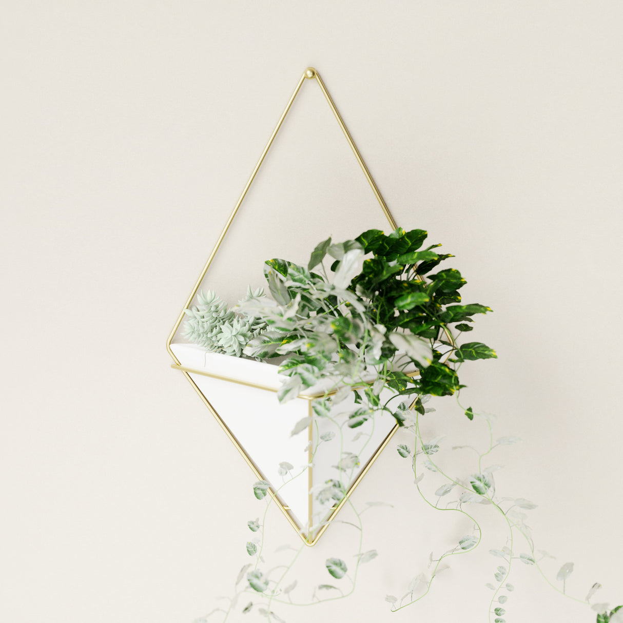 Wall Planters | color: White-Brass