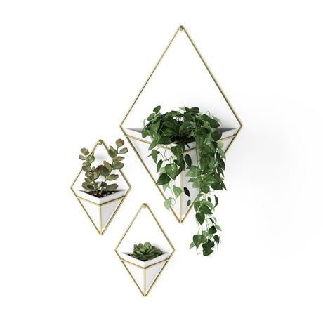 Wall Planters | color: White-Brass