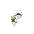 Wall Planters | color: White-Brass