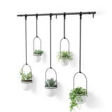 Hanging Planters | color: White-Black