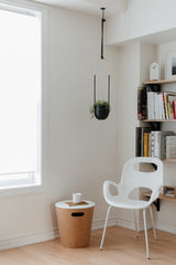 Hanging Planters | color: Black