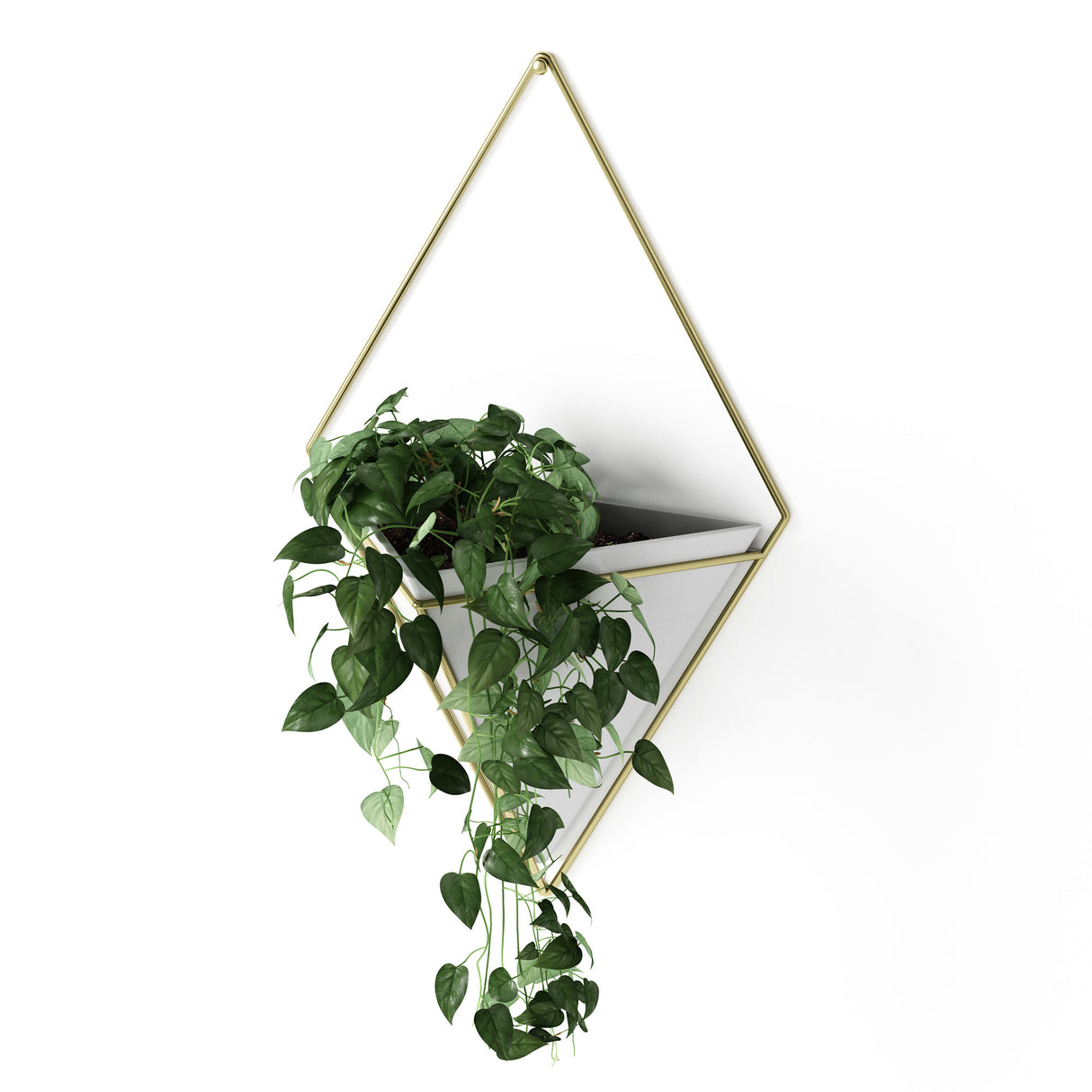 Wall Planters | color: White-Brass