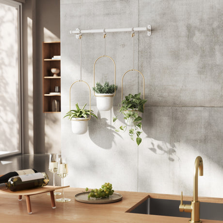 Hanging Planter | color: Brass | https://player.vimeo.com/video/540290052