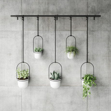 Hanging Planters | color: White-Black | Hover