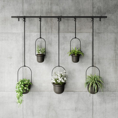 Hanging Planters | color: Black | Hover